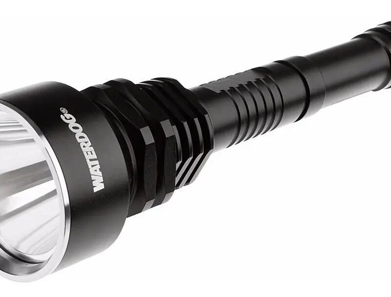 Linterna Recargable 800Lum 220V-12V Waterdog
