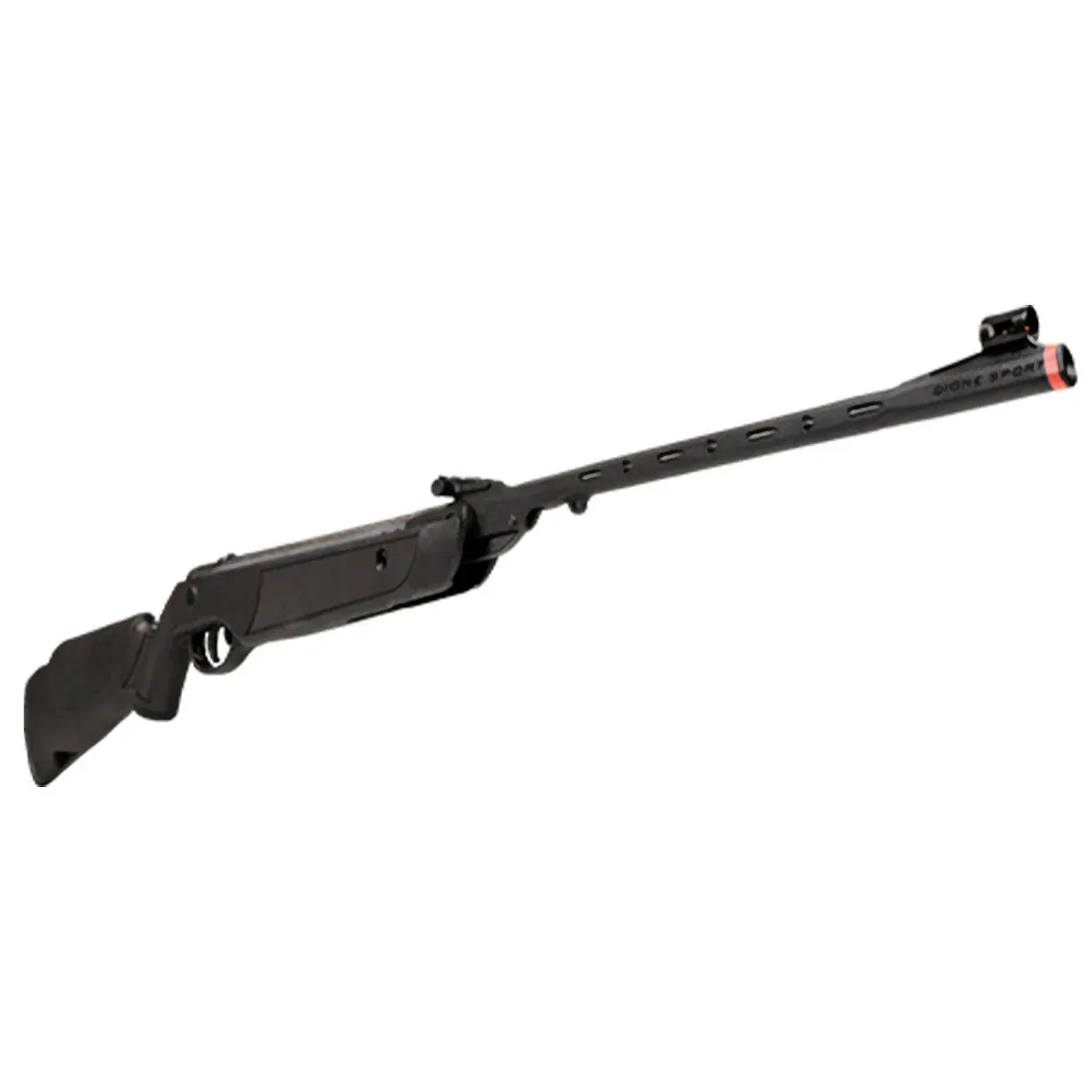 RIFLE ROSSI DIONE 5G SPORT 5,5MM RESORTE POLÍMERO (600910)
