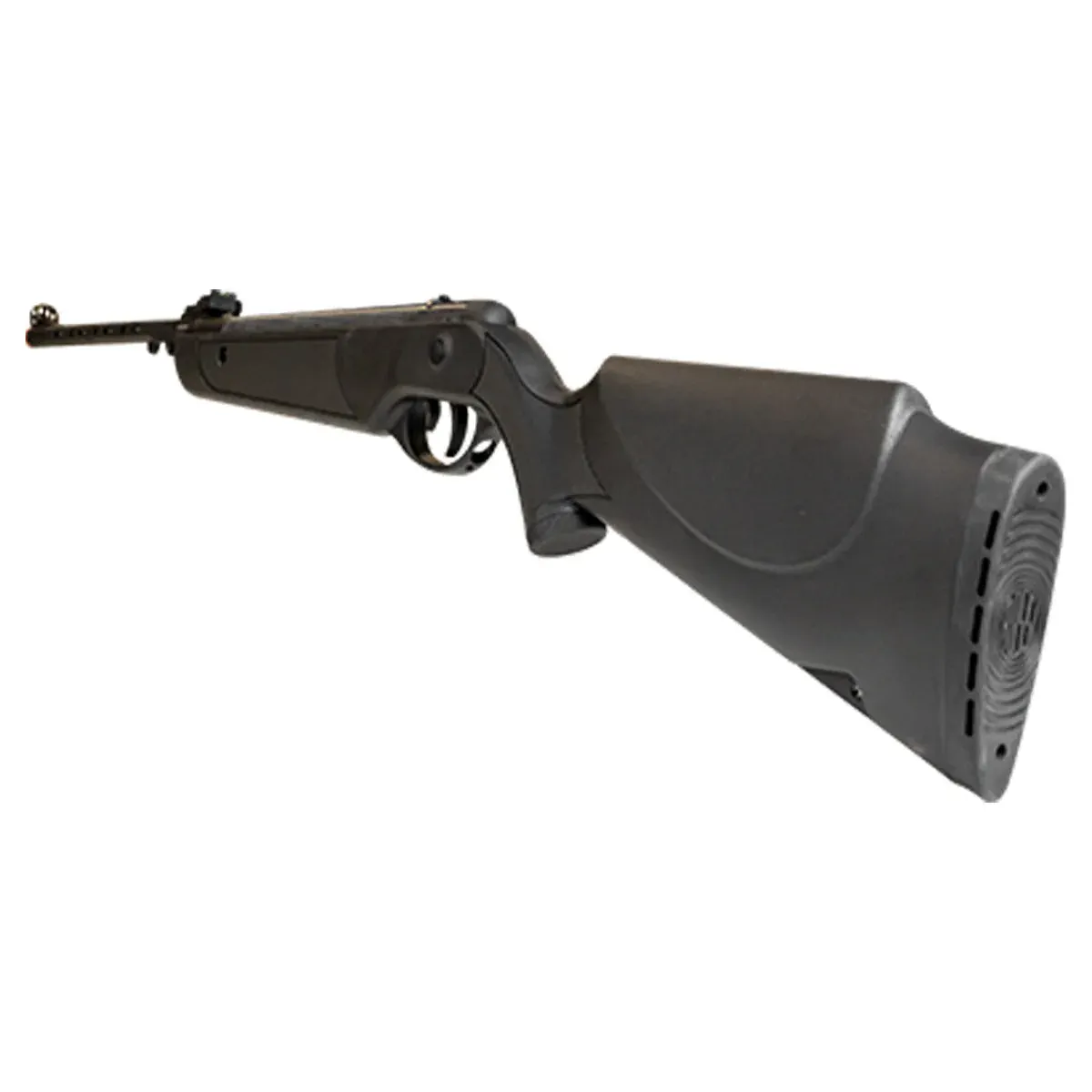 RIFLE ROSSI DIONE 5G SPORT 5,5MM RESORTE POLÍMERO (600910)