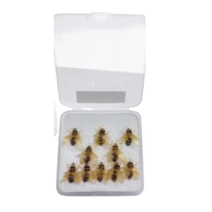 Mosca Seca Adams Fly Abeja Terrestre