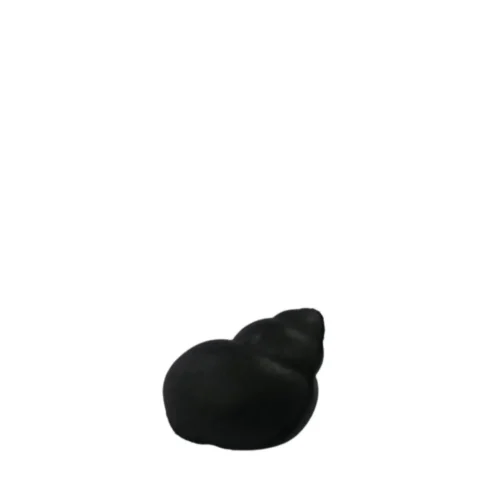 SEÑUELO RED FISH CARACOL PARA CARPA CAJA X 15 UNIDADES NEGRO (BS-200) - 1 SEÑUELO RED FISH CARACOL PARA CARPA CAJA X 15 UNIDADES NEGRO (BS-200)