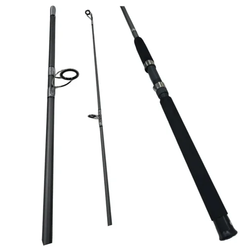 Caña Argus 2,40mts 2 Tramos 60-100g Medium Heavy Frontal Lexus