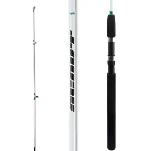 Caña Scout 1,65mts 2 Tramos Grafito Baitcasting Spin Albatros
